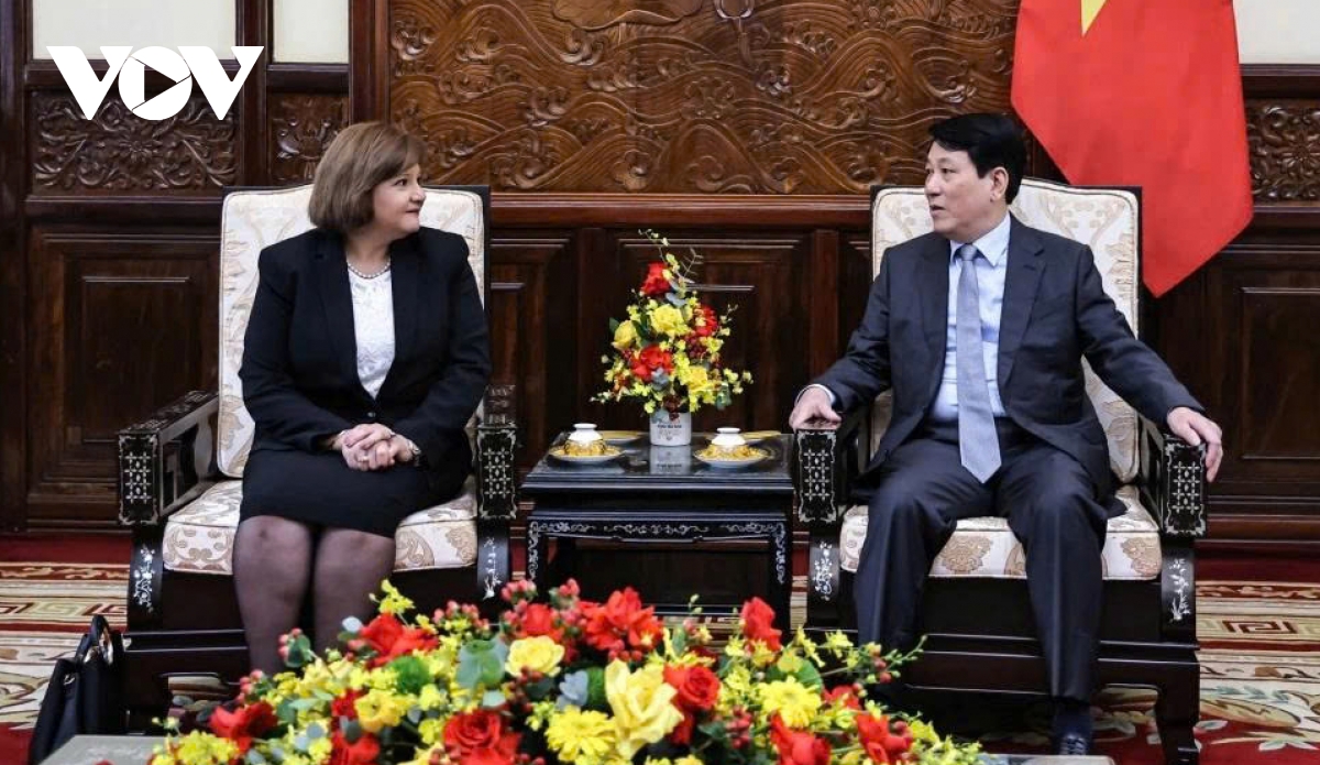 Vietnam wishes to strengthen multifaceted cooperation with Egypt